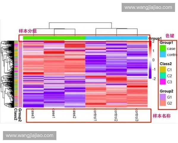 基于跑动热图分析运动员场上行为模式与比赛表现的关系
