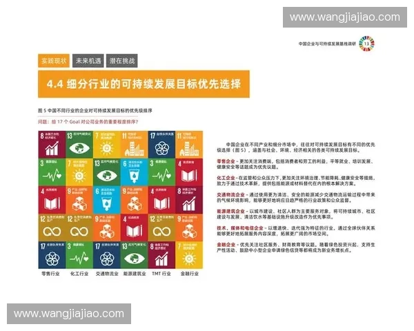 体育薪酬体系改革与职业联赛可持续发展路径研究机制创新分析探索